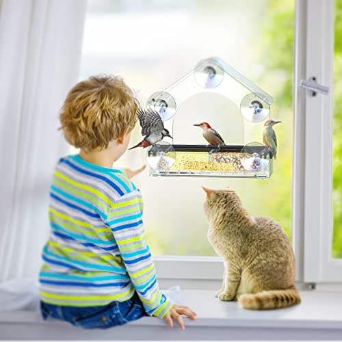 Clear Window Bird Feeder with 5 Extra Strong Suction Cups, DY-SKTY Sturdy and Durable Acrylic Birdfeeders for Viewing Wild Birds Outside, as a Bird Watching Gift, Outdoor Birdhouse Box, Garden Decor 6