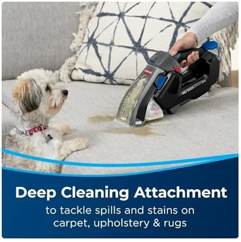 Bissell Pet Stain Eraser Duo, Black 5