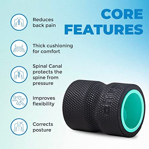 Chirp Wheel Foam Roller – Targeted Back & Neck Relief, Lumbar Spine Stretcher, Spinal Decompression Back Stretcher, Massage Roller with Density Foam for Physical Therapy, Supports 500lbs, 4-Inch Mint 8