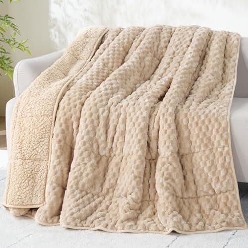 Drewin Weighted Blanket for Adults Queen Size 15lbs, Soft Fuzzy Turtleback Sherpa Weighted Blankets for Sleeping, Cozy Fluffy Heavy Blanket for Couch Bed, 60 x 80 inches, Beige