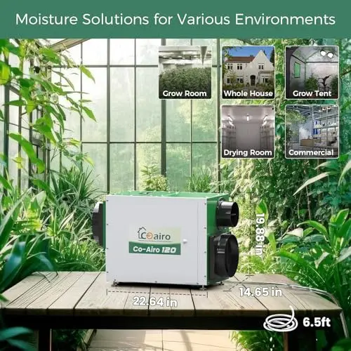 COAIRO Whole House Dehumidifier 208 Pint, Crawl Space Dehumidifier with Controller Fresh Air Function and Drain Hose Up to 3000 sq. ft. for Grow Tent, Whole House, Commercial, Basement, Water Damage 5