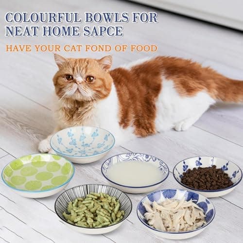 Ceramic Cat Bowls with Non-Slip Silicone Bottom,Prevent Whisker Fatigue,Reduce Mess,Wide Cat Bowls for Indoor Cats,6 Colorful Set for Daily Feeding Gift Choice (Classic) 6