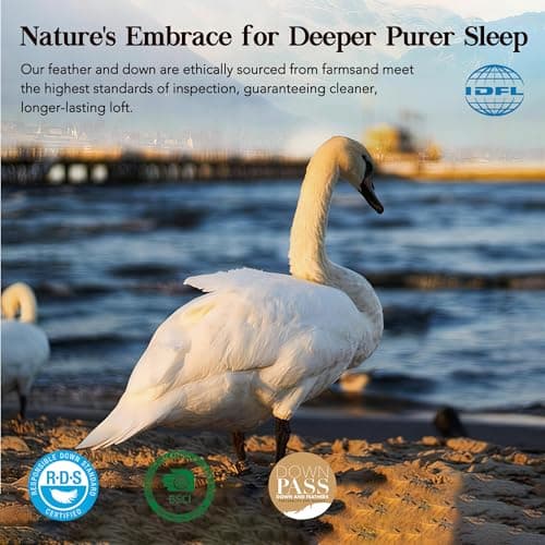 Down Pillows Queen Size Set of 2, Breathable Cotton Blend Shell Cover, Hotel Collection Bed Pillows for Sleeping, Fluffy and Supportive, Soft Down Fiber Pillow for Side,Back, and Stomach Sleepers 7