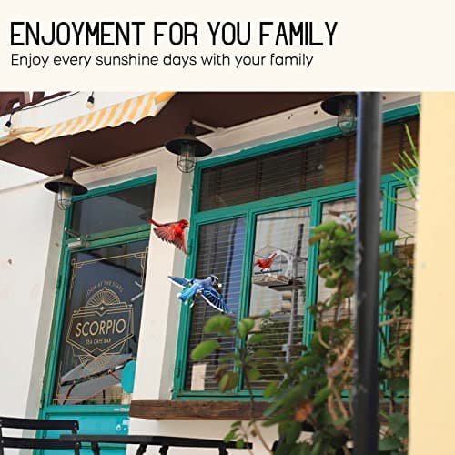 Mrcrafts Window Bird Feeder for Outside with Strong Suction Cups, Fits for Cardinals, Finches, Chickadees etc. 6