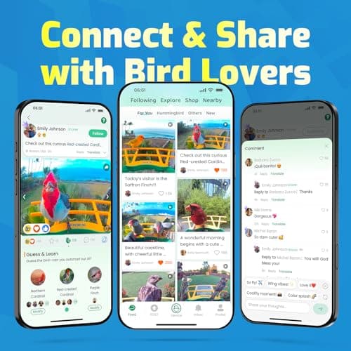 Smart Bird Feeder with Camera, Solar Powered, Free AI Identify Auto Video Capture & 2K HD Video Bird Feeders for Outdoors with SD Card, Gift for Birdlover 6