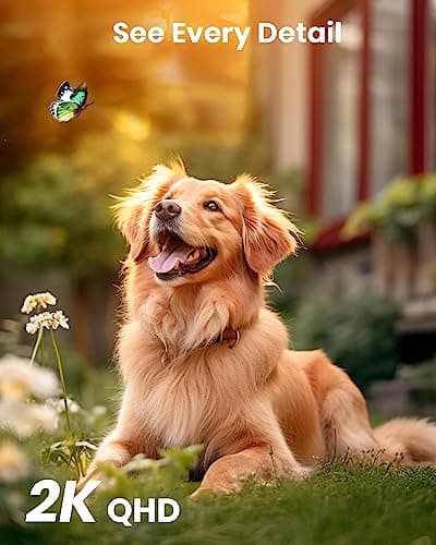 aosu Solar Camera Security Outdoor - Security Cameras Wireless Outdoor with 360° Panoramic View, Human Auto Tracking, 2K Night Vision, Compatible with Alexa/Google Assistant (2 Pack) 5