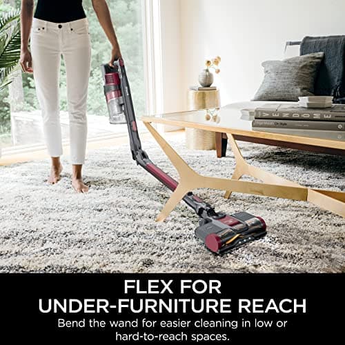 Shark IZ163H Pet Plus Cordless Stick Vacuum with Self-Cleaning Brushroll and HEPA Filter, Lightweight Deep Cleaning Vacuum for Carpet and Hard Floors, Folds for Easy Storage, 40-min Runtime, Raspberry 5