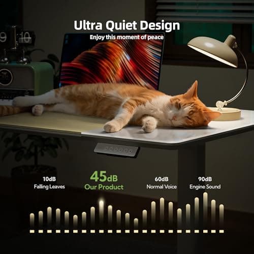 INNOVAR Glass Standing Desk, 48 x 24 Inches Height-Adjustable Desk, Tempered Glass and Wooden Top, Quick Install Home Office Stand Up Desk with 4 Presets, White Glass and Natural Wood 9