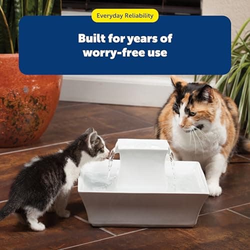 PetSafe Drinkwell Pagoda Fountain - Hygienic Ceramic Continuous Flowing Fountain - Elevated Upper Bowl & Double Free-Falling Stream Design - Minimalist Pet Hydration Station - 70 oz Capacity 9