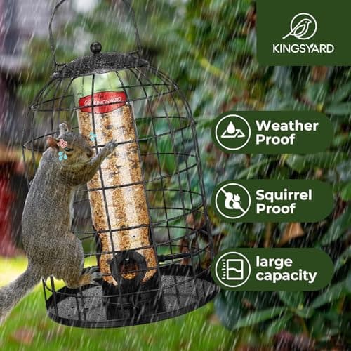 Kingsyard Metal Bird Feeder for Outdoors, Squirrel Proof Caged Tube Feeders Hanging Green, Wild Small Birds Rainproof Station for Garden Yard Seed Easy Clean, Black 5