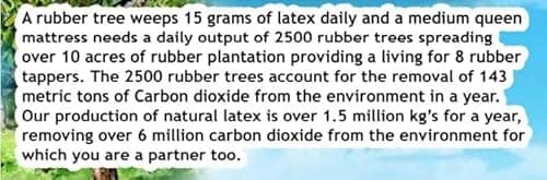 Dunlop Latex Mattress Topper - Firm - 3" - Twin 6