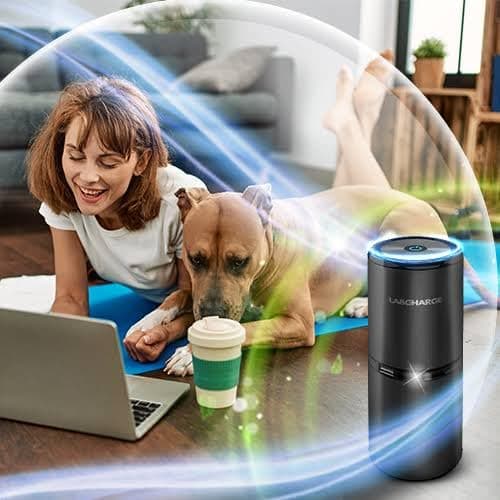 LabCharge Small Ionic Air Purifier for Home & Bedroom – Silent HEPA Filter – Covers 250 Sq Ft - Free Cleaner for Pets, Hair, Smoke, Dust, Odors & Dander – Compact & Black Design - Pack of 2 6