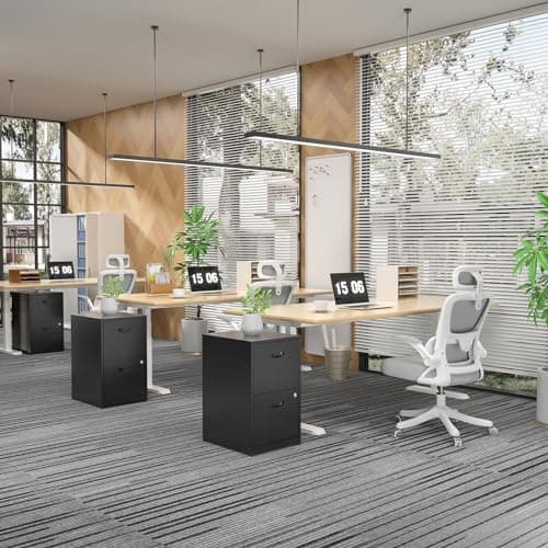 SteeLoong 2 Drawer File Cabinets,Metal Office File Cabinet with Lock,Black Filing Cabinets for Home Office,Vertical Modern File Cabinet Office Two Drawers for Hanging Letter,Assembly Required 8