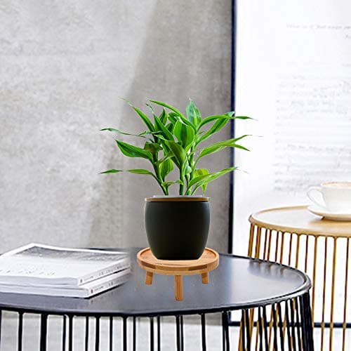 ARTORA Mid Century Modern Plant Stand, Wood Indoor Plant Holder Succulents Plant Pot Raiser Decorative Corner Planter Stand for Small to Medium Plants (Natural 2PCS) 6