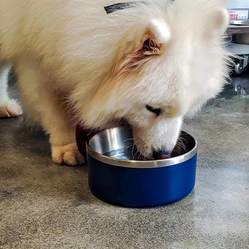 LIHOOOOM Stainless Steel Dog Bowl, Metal Water and Food Dish for Large Dogs, Insulated Non-Slip Pet Bowl, Easy Clean, 40oz, Blue 6