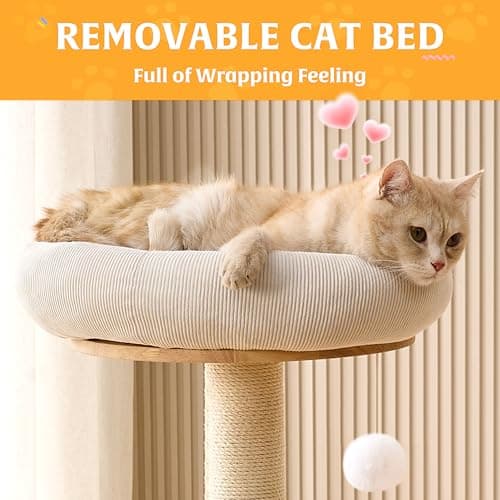 HITTITE Solid Wood Cat Tree Tower with Scratching Post, 37.8 Inches Tall Cat Towers with Scratching Board and Scratcher Ball, Modern Cat Tower With Space Capsule and Removable Top Bed for Indoor Cats. 6