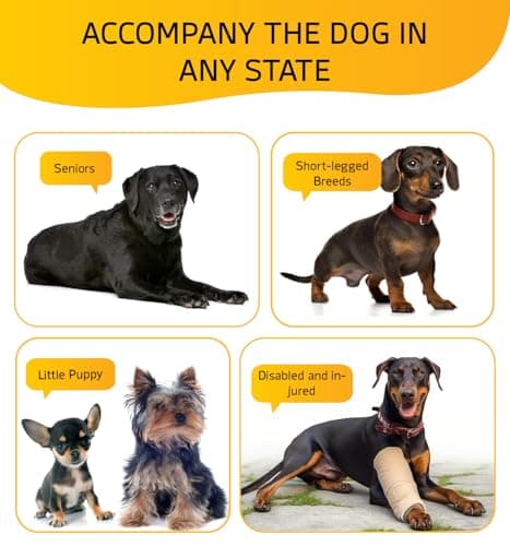 ABCPET Dog Stairs for Bed, Dog Steps for Bed Couch Sofa, 35D Foam Extra Wide Pet Steps for Small Dogs and Cats, Pet Stairs with Non-Slip Bottom Grey, 2 Steps 5