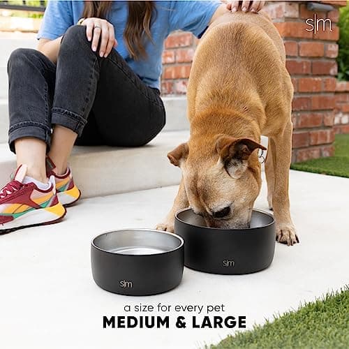 Simple Modern Stainless Steel Pet Water Bowl for Dogs & Cats | Insulated Stainless Steel Food Bowls for Dog Cat | No Tip No Slip BPA Free | Bentley Collection | Medium (4 Cups) | Sea Glass Sage 5