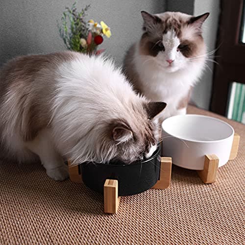 Petygooing Ceramic Dog Cat Bowls Set with Stand,Black Pet Food and Water Bowl,Small Dog Bowls Cute Modern Anti Slip Set of 2 Pet Feeder Small Size Pet Dish(13.5OZ/5.1 in) 6