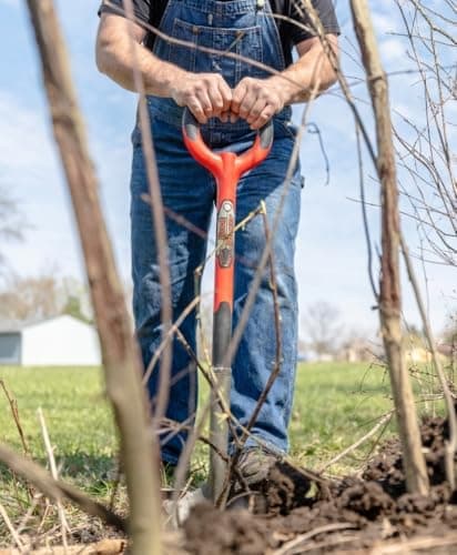 Root Slayer 22011 Garden Shovel with Serrated Blade for Digging and Root Cutting, Heavy Duty Steel Spade, Red 5