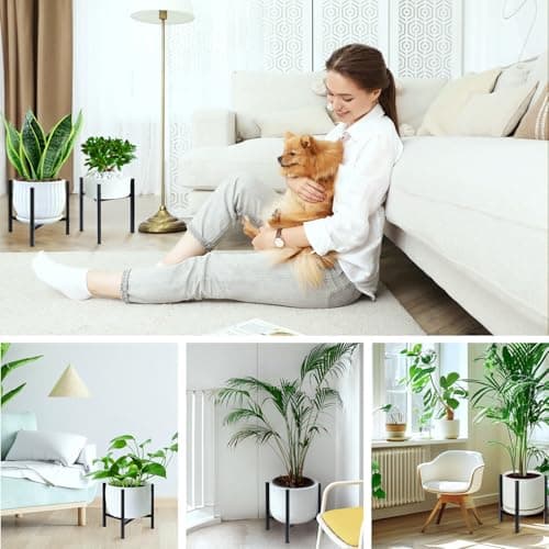 Airpark Plant Stand Indoor Adjustable, Metal Modern Plant Stands, Heavy Duty Stable Plant Pot Flower Holder Indoor Outdoor Corner, Fit 8 9 10 11 12 inch Pots, Black (Pot & Plant Not Included) 5