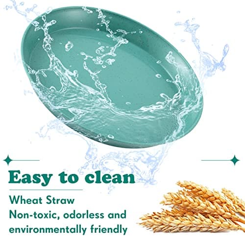 Gerrii 6 Pieces Shallow Cat Food Dish Food Bowls Wet Feeding Bowls Wide and Small Plate for Kittens and Short Legged Cat, 6 Inch Wheat Straw(Simple Style) 5