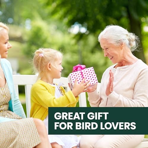 Perky-Pet Squirrel-Be-Gone II Country House Bird Feeder with Weathervane - 8 lb Seed Capacity - Squirrel Proof Wild Bird Feeder for Outdoors - Durable Construction - Rustic Outdoor Decor - 338, Red 11