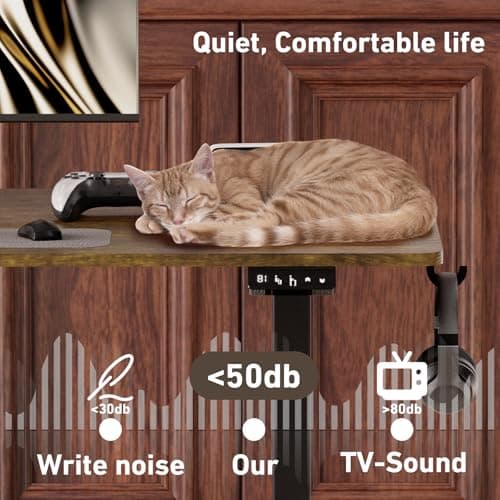 Ywin Electric Height Adjustable Standing Desk with Wheels, 55 x 24 inches, Ergonomic Stand Up Desk for Home Office 6