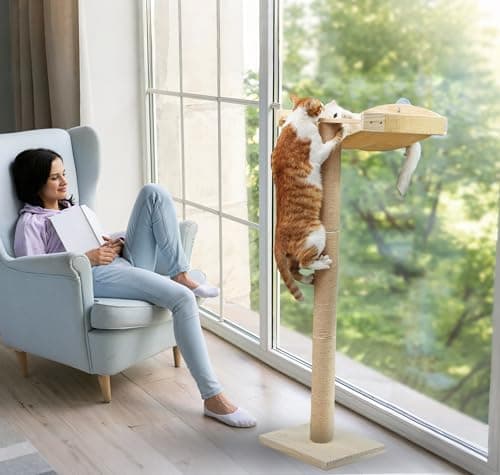 Cat Window Perch with Tall Scratching Posts, Inside 46" Climbing Tree Hammmock Mounted with Suction Cups for Sleeping,Playing and Watching Birds 6