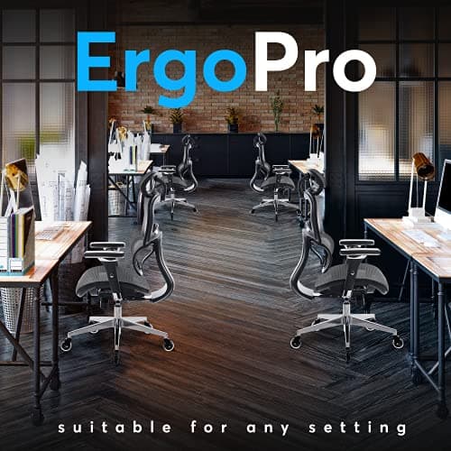Oline ErgoPro Ergonomic Office Chair, Rolling Desk Chair with 4D Adjustable Armrest, 3D Lumbar Support, Blade Wheels, Mesh Computer Gaming Executive Swivel Chairs Chair (Black) 6