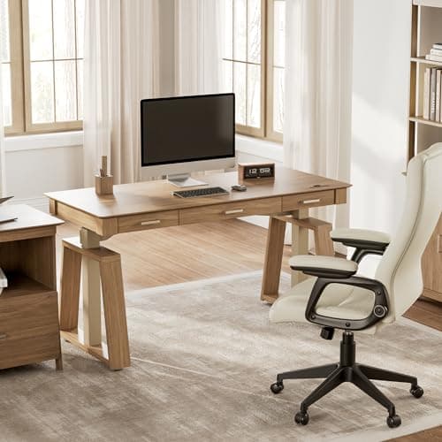 EUREKA ERGONOMIC Ark EL, 60x26 Executive Standing Desk with 3 Drawer Adjustable Height Electric Desk Stand up Desk Home Office Computer Desk with Storage Modern Workstation with Memory Controller 6