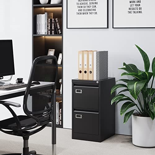 BYNSOE 2 Drawer File Cabinet with Lock Metal Vertical Filing Storage Cabinet Office Home Steel Vertical File Cabinets for A4 Legal/Letter Size Narrow File Cabinet Locked,Assembly Required 11