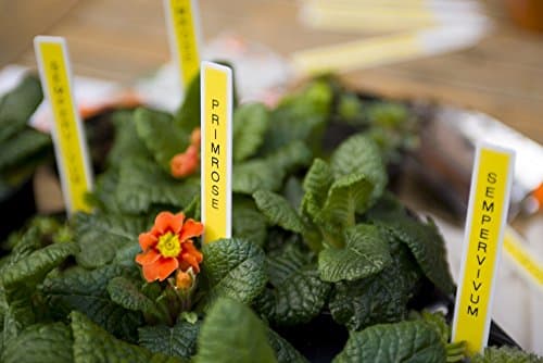 Brother P-Touch Monochrome Label Maker, Versatile Easy-to-Use Labeler, PTD400AD, AC Adapter, QWERTY Keyboard, Multiple Line Labeling, White 6