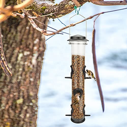 MIXXIDEA 2PK Metal Wild Bird Feeder Squirrel Proof Bird Feeders for Outside Hanging 6 Port Tube Bird Feeder Transparent Finch Feeder with Steel Hanger (Coffee) 7