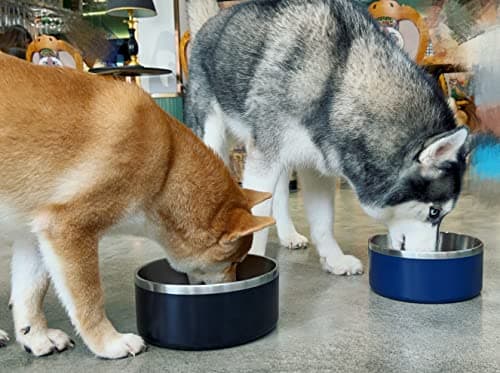 IKITCHEN Dog Bowl for Food and Water, 40 Oz Stainless Steel Pet Feeding Bowl, Durable Non-Skid Double Wall Insulated Heavy Duty with Rubber Bottom for Medium Large Sized Dogs (40 Ounces/5 Cup, Blue) 9