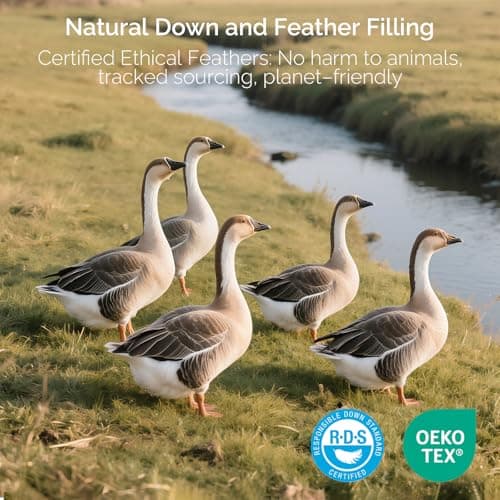 downluxe Goose Feather and Down Pillows - Hotel Collection Feather Pillows Set of 2 for Back, Stomach or Side Sleepers, Queen Size (20"x28") 7