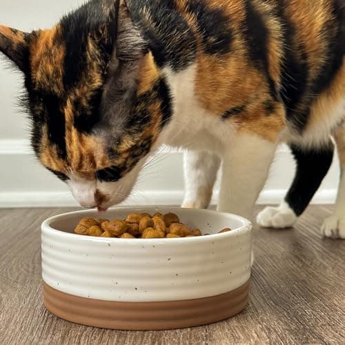 Mora Ceramic Pet Bowl Size Small - Food/Water Dish for Puppy Dogs, Cats, Guinea Pig, Rabbit, Hamster, Snake, ect. 11oz or 2 Cups - Basic Bowls for Your Dog or Cat, Mix and Match for a Set - Vanillla 6