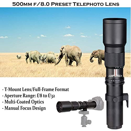 Canon EOS Rebel T7 DSLR Camera with 18-55mm is II Lens + Canon EF 75-300mm f/4-5.6 III Lens and 500mm Preset Lens + 32GB Memory + Filters + Monopod + Professional Bundle (Renewed) 5