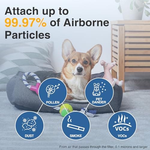 HPA300 HEPA Air Purifier Filter R for Honeywell Air Purifier HPA100/200/300 and 5000 Series, 6 Pack HEPA Filter Compatible with Honeywell R Filter (HRF-R3 & HRF-R2 & HRF-R1) 5