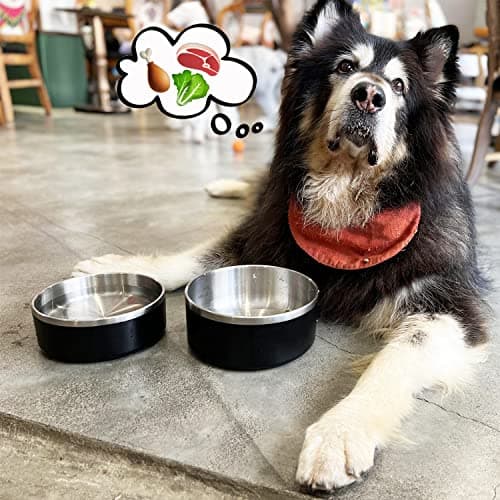 LIHONG Stainless Steel Dog Bowls for Small Medium Sized Dogs Non Slip,Insulated Dog Bowl,Pet Bowl for Food and Water,Rustproof(40oz,Black) 8