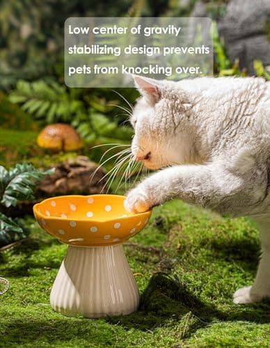 Whimsicalfox Raised Cat Bowl, Cute Mushroom Pet Feeder, Elevated Small Dog Food Bowl, Ceramic Raised Pet Bowls for Food and Water, Wide Shallow Cat Dish, Whisker Fatigue (Red) 7