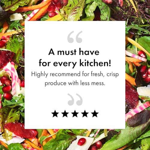 OXO Steel Salad Spinner 11