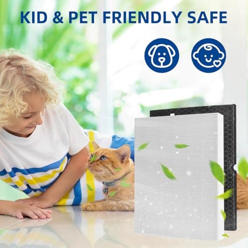 116130 Replacement Filter H for Winix 5500-2 AM80 Plasmawave Air Purifier, TRUE HEPA and Activated Carbon Filter by APPLIANCEMATES,2 Combo 5