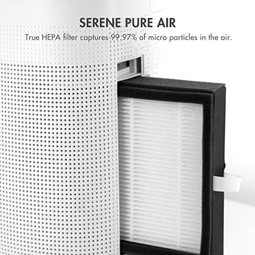 Tenergy Sorbi 1000ml Air Dehumidifier w/Purifying Function, True HEPA Filter, Auto Shutoff, Touch Control Adjustable Air Speed, Ultra-Quiet, Ideal for Closets & Bathrooms 5