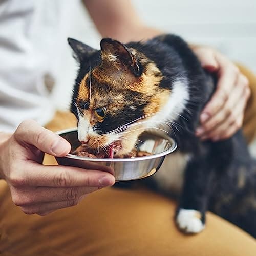 4 Pcs Stainless Steel Cat Bowls, 5.5 Inch Whisker Friendly Shallow Cat Food Bowls, Small Metal Pet Dish for Kittens and Indoor Cats, Basic Replacement Plates for Elevated Feeder Stands,Dishwasher Safe 5