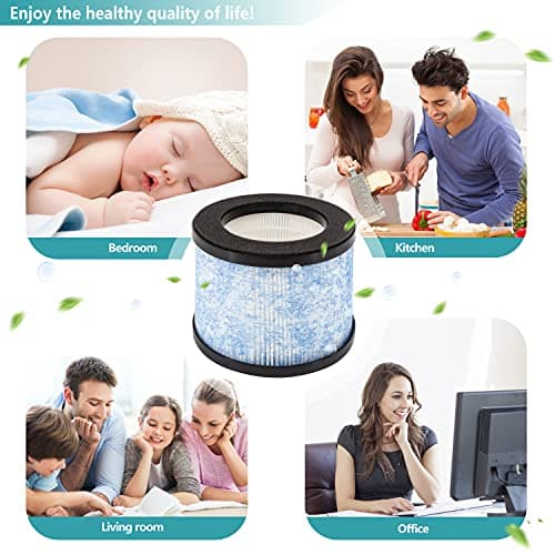 Lhari 2-Pack H13 MA-01CW True HEPA Filter Replacement, Compatible with Miko Ibuki Air Purifier C102 6