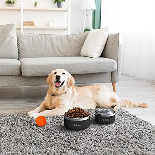 Frost Buddy | Dogbowls - Stainless Steel Vacuum Insulated Bowl - Non-Slip Bottom - Holds 5-12 Cups of Water or Food - for Large Pets(Aqua-, 64 OZ) 8