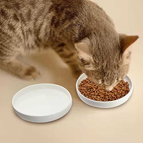 Ceramic Cat Bowls,Shallow Cat Dishes for Food and Water, 6 inch Matte Finish Wide Cat Food Bowl,Whisker Fatigue Free Pet Puppy Kitten Bowl Set of 3,Dishwasher Safe 7