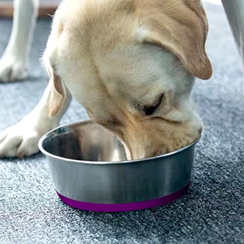 WEDAWN Deep Stainless Steel Non-Skid Dog and Food Bowls, Each Holds Up to 2 Cups, Set of 2 Packs(5.5 x 1.9 Inches) 9