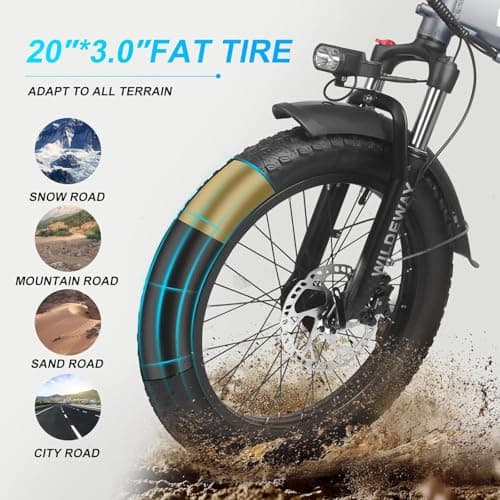 Wildeway Folding Electric Bike for Adults with 750W Motor 32Ah Battery Long Range FW11 Ebike 20 * 3.0 Fat Tire Fodable Adults Electric Bicycle for Men Women City Commuter Delivery 5